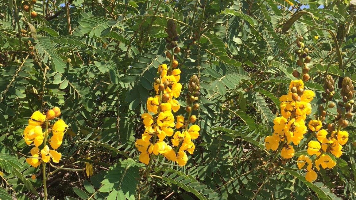 Segnali d’allarme: sono tornati insonnia, mal di stomaco, nausea