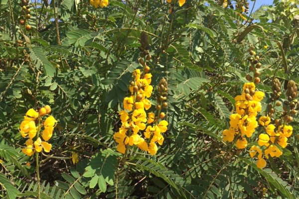 Segnali d’allarme: sono tornati insonnia, mal di stomaco, nausea