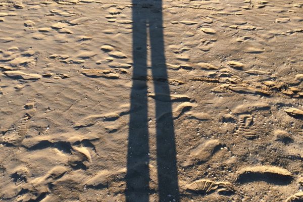 Mobbing: la politica non se ne occupa