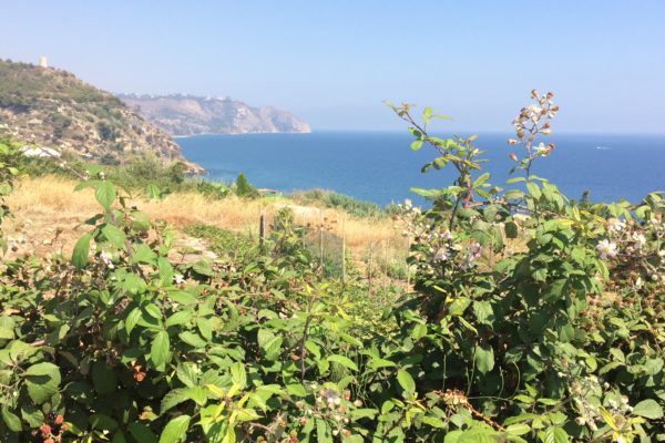 Il Mobbing: questo sconosciuto