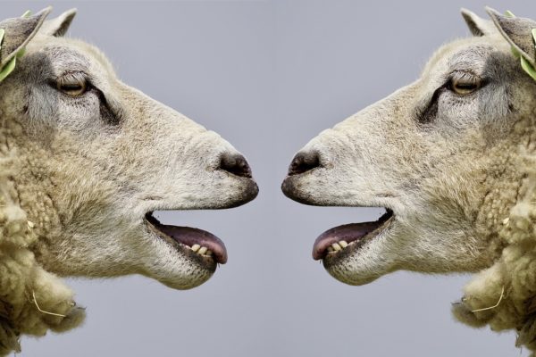 Pessima esperienza ad un colloquio di lavoro? Ce l’ho.