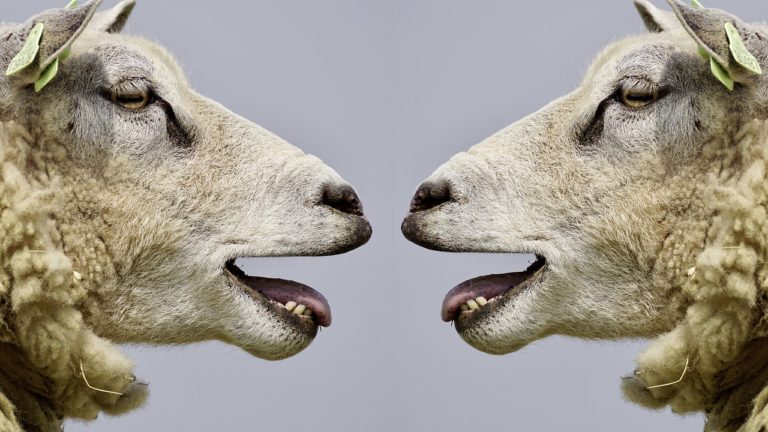 pessima esperienza ad un colloquio di lavoro