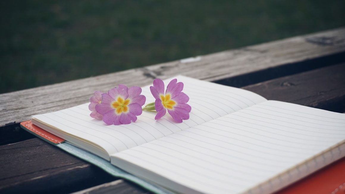 Il fascino complesso e irresistibile della carta