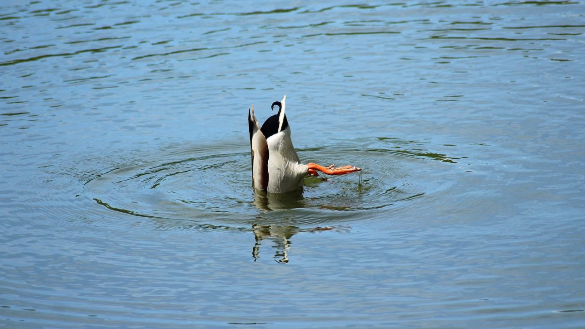 La narrazione sociale della disoccupazione