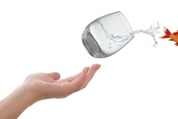 Come perdere i migliori dipendenti