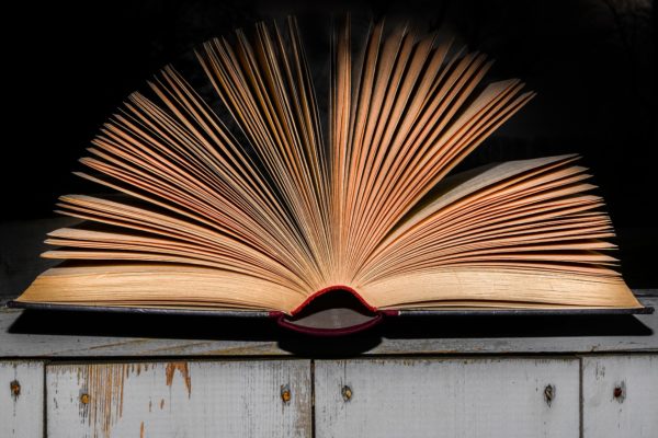 Il paradosso dell’ignoranza: chi meno sa più crede di sapere