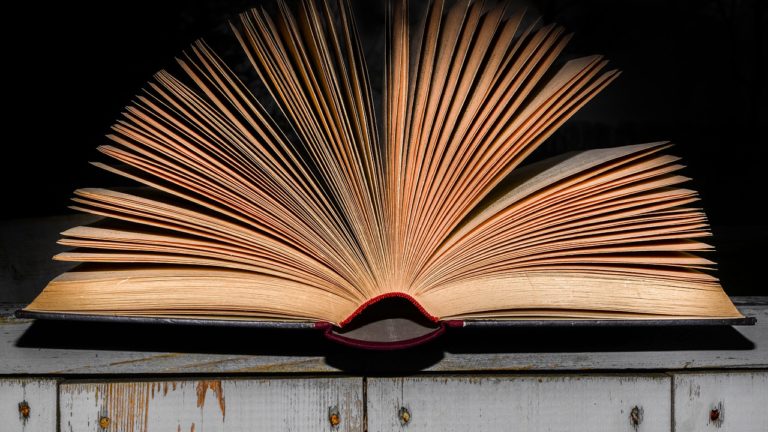 Il paradosso dell'ignoranza