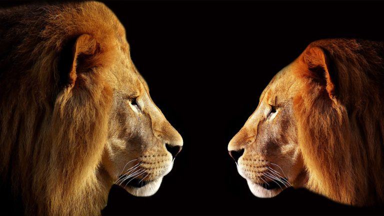 Più rispetto nel mondo del lavoro