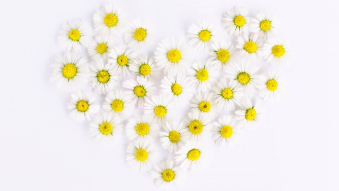 Reputazione oh yessssssss